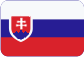 Fotbalový klub Zlín 87 Slovensky